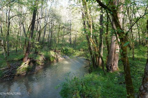 Tiny photo for 12 Golf Course Rd, Newport, TN 37821 (MLS # 1337091)