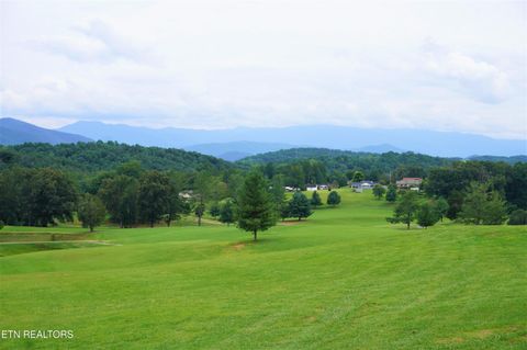 Tiny photo for 12 Golf Course Rd, Newport, TN 37821 (MLS # 1337091)