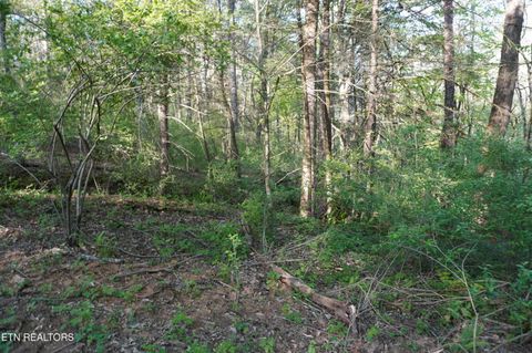 Tiny photo for 12 Golf Course Rd, Newport, TN 37821 (MLS # 1337091)