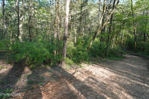 Tiny photo for 12 Golf Course Rd, Newport, TN 37821 (MLS # 1337091)