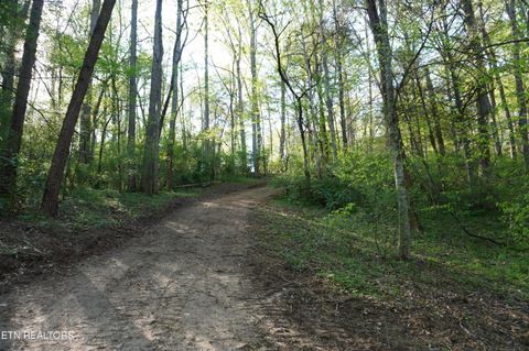 Tiny photo for 12 Golf Course Rd, Newport, TN 37821 (MLS # 1337091)