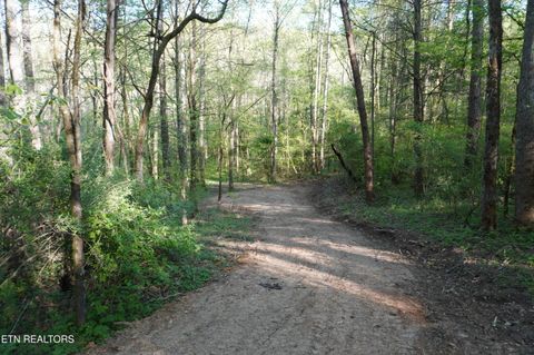 Tiny photo for 12 Golf Course Rd, Newport, TN 37821 (MLS # 1337091)