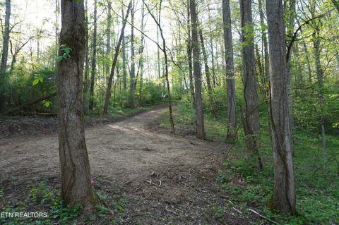 Tiny photo for 12 Golf Course Rd, Newport, TN 37821 (MLS # 1337091)