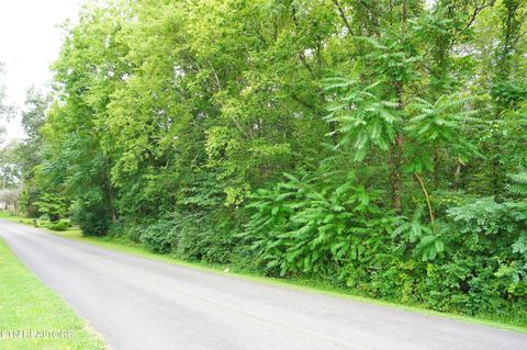 Tiny photo for 12 Golf Course Rd, Newport, TN 37821 (MLS # 1337091)