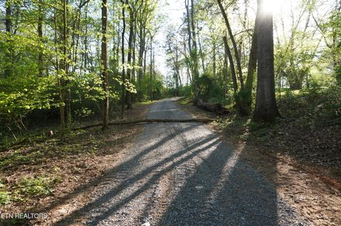 Tiny photo for 12 Golf Course Rd, Newport, TN 37821 (MLS # 1337091)