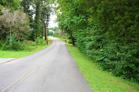Tiny photo for 12 Golf Course Rd, Newport, TN 37821 (MLS # 1337091)