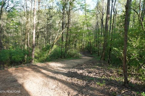 Tiny photo for 12 Golf Course Rd, Newport, TN 37821 (MLS # 1337091)