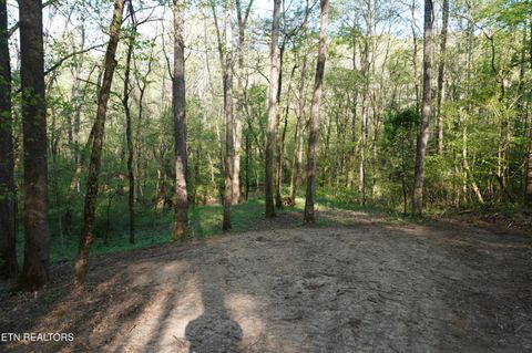 Tiny photo for 12 Golf Course Rd, Newport, TN 37821 (MLS # 1337091)