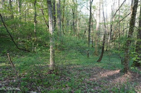 Tiny photo for 12 Golf Course Rd, Newport, TN 37821 (MLS # 1337091)