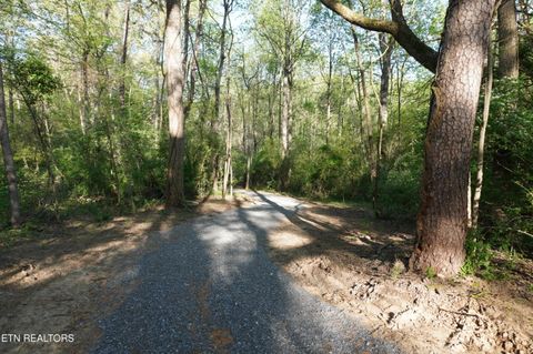 Tiny photo for 12 Golf Course Rd, Newport, TN 37821 (MLS # 1337091)