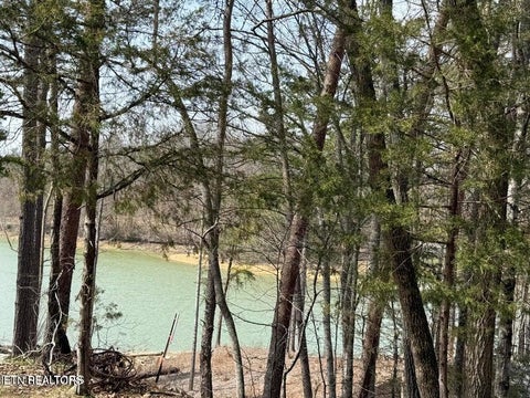 Photo of SUMMER BREEZE Lane, New Tazewell, TN 37825 (MLS # 1354996)