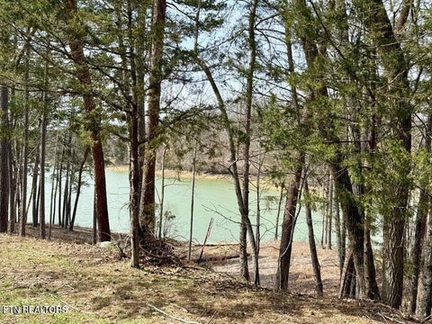 Tiny photo for SUMMER BREEZE Lane, New Tazewell, TN 37825 (MLS # 1354996)