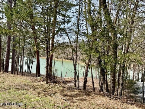 Tiny photo for SUMMER BREEZE Lane, New Tazewell, TN 37825 (MLS # 1354996)
