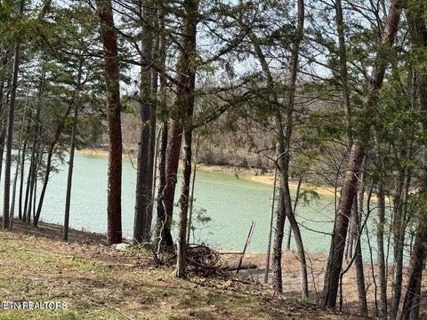 Tiny photo for SUMMER BREEZE Lane, New Tazewell, TN 37825 (MLS # 1354996)