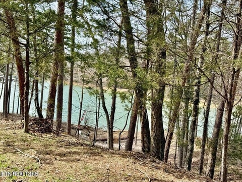Tiny photo for SUMMER BREEZE Lane, New Tazewell, TN 37825 (MLS # 1354996)