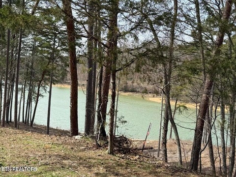 Tiny photo for SUMMER BREEZE Lane, New Tazewell, TN 37825 (MLS # 1354996)