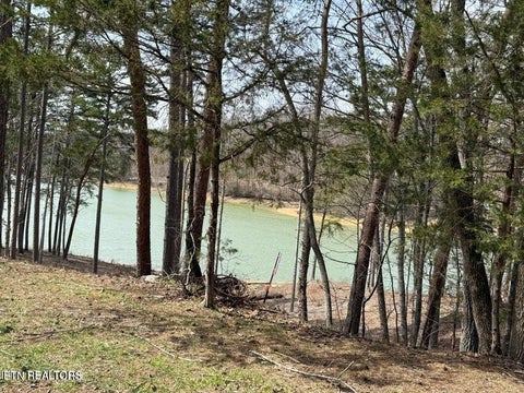 Tiny photo for SUMMER BREEZE Lane, New Tazewell, TN 37825 (MLS # 1354996)