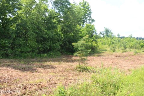 Photo of 1 N Nopone Valley Rd, Decatur, TN 37322 (MLS # 1342559)