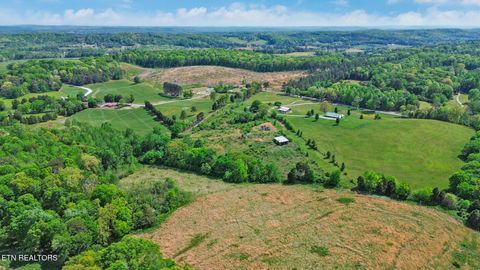 Tiny photo for 515 Trentham Rd, Spring City, TN 37381 (MLS # 1337518)