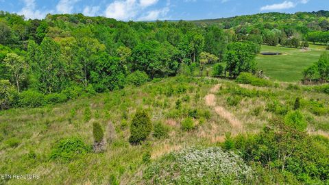 Tiny photo for 515 Trentham Rd, Spring City, TN 37381 (MLS # 1337518)