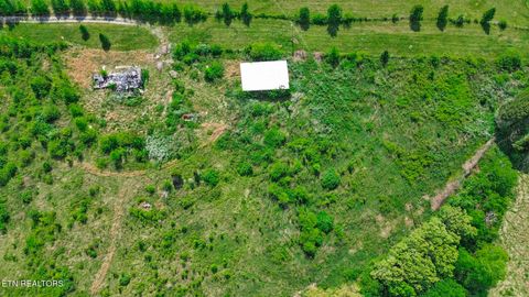 Tiny photo for 515 Trentham Rd, Spring City, TN 37381 (MLS # 1337518)