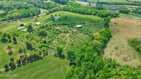 Tiny photo for 515 Trentham Rd, Spring City, TN 37381 (MLS # 1337518)