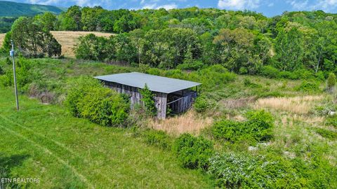 Tiny photo for 515 Trentham Rd, Spring City, TN 37381 (MLS # 1337518)