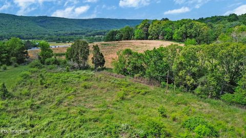 Tiny photo for 515 Trentham Rd, Spring City, TN 37381 (MLS # 1337518)