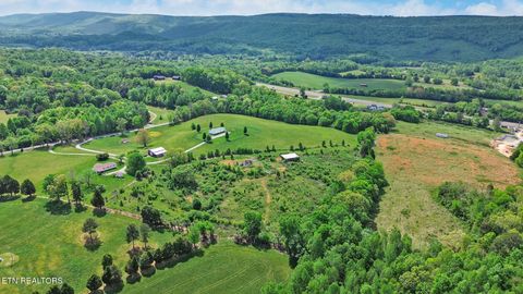 Tiny photo for 515 Trentham Rd, Spring City, TN 37381 (MLS # 1337518)