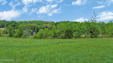 Tiny photo for 515 Trentham Rd, Spring City, TN 37381 (MLS # 1337518)