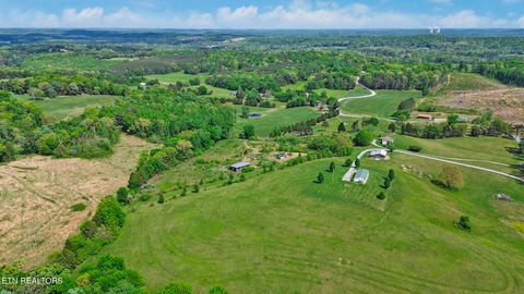 Tiny photo for 515 Trentham Rd, Spring City, TN 37381 (MLS # 1337518)