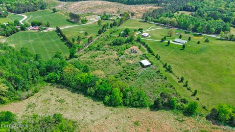 Tiny photo for 515 Trentham Rd, Spring City, TN 37381 (MLS # 1337518)