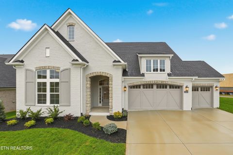 Photo of 923 Sweatleaf Ln, Knoxville, TN 37934 (MLS # 1322557)