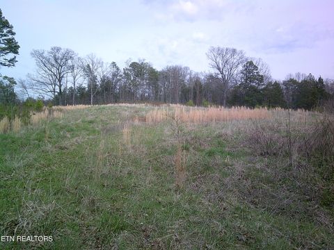 Photo of 9927 Stringtown Rd, Strawberry Plains, TN 37871 (MLS # 1336712)