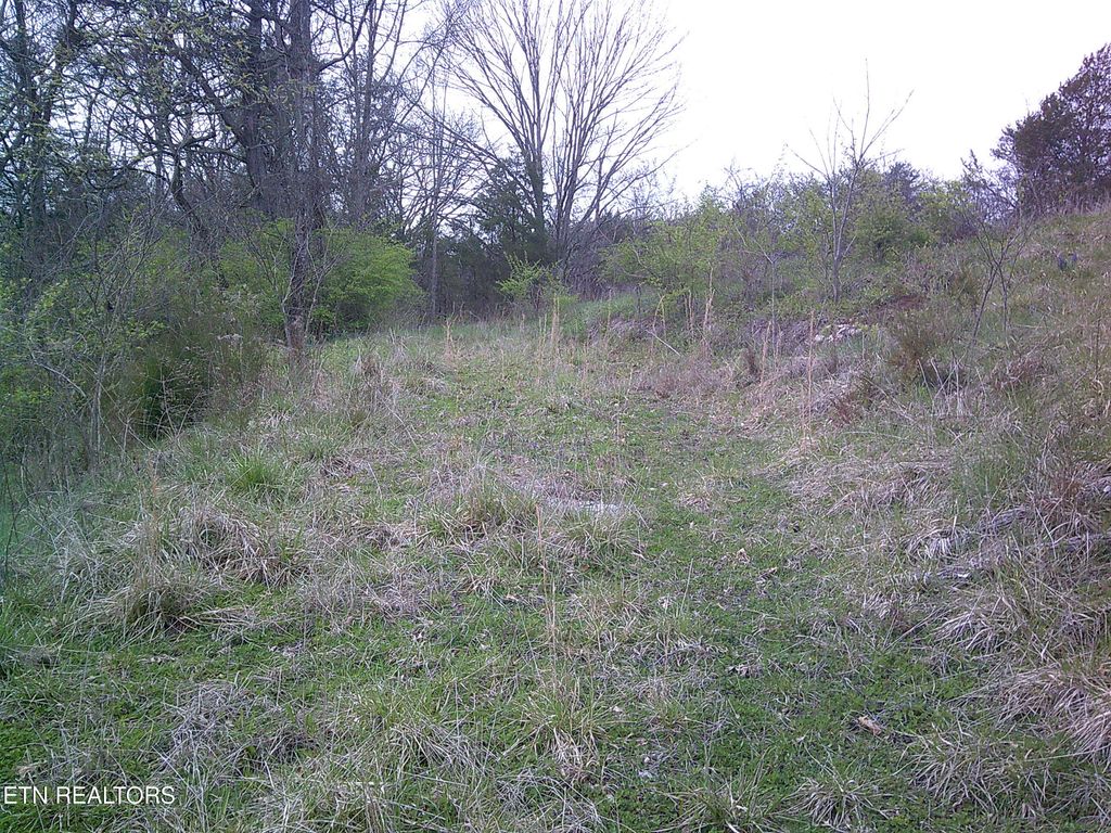 Photo of 9927 Stringtown Rd, Strawberry Plains, TN 37871 (MLS # 1336712)