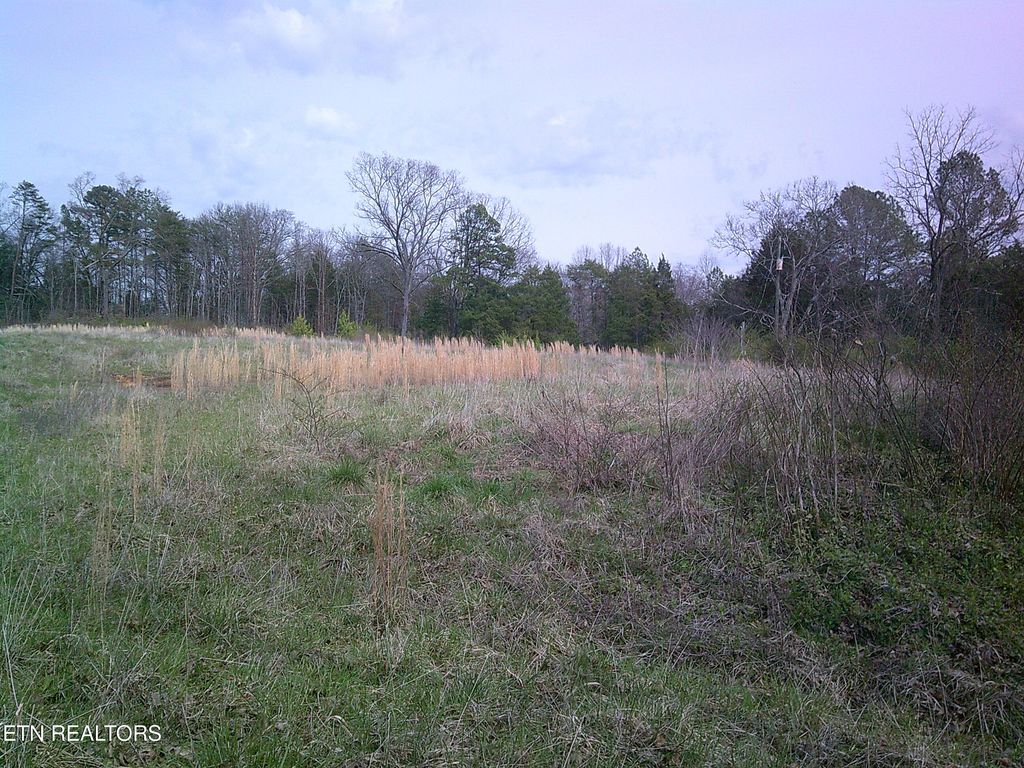 Photo of 9927 Stringtown Rd, Strawberry Plains, TN 37871 (MLS # 1336712)