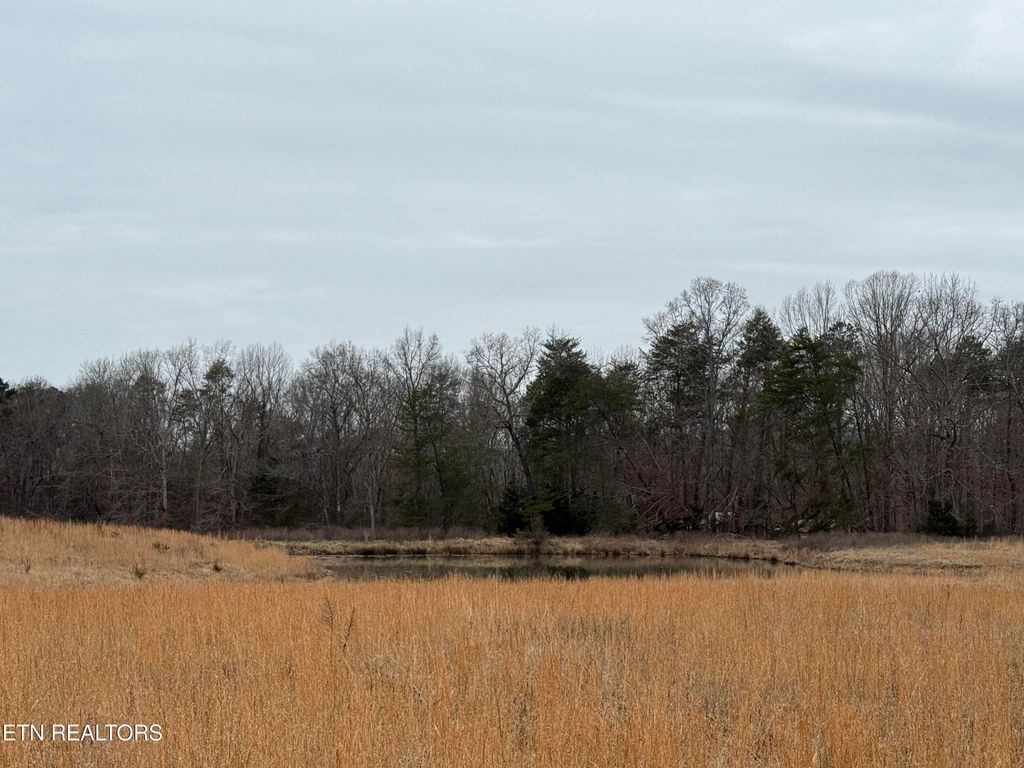 Photo of 2630 River Rd, Kingston, TN 37763 (MLS # 1289311)