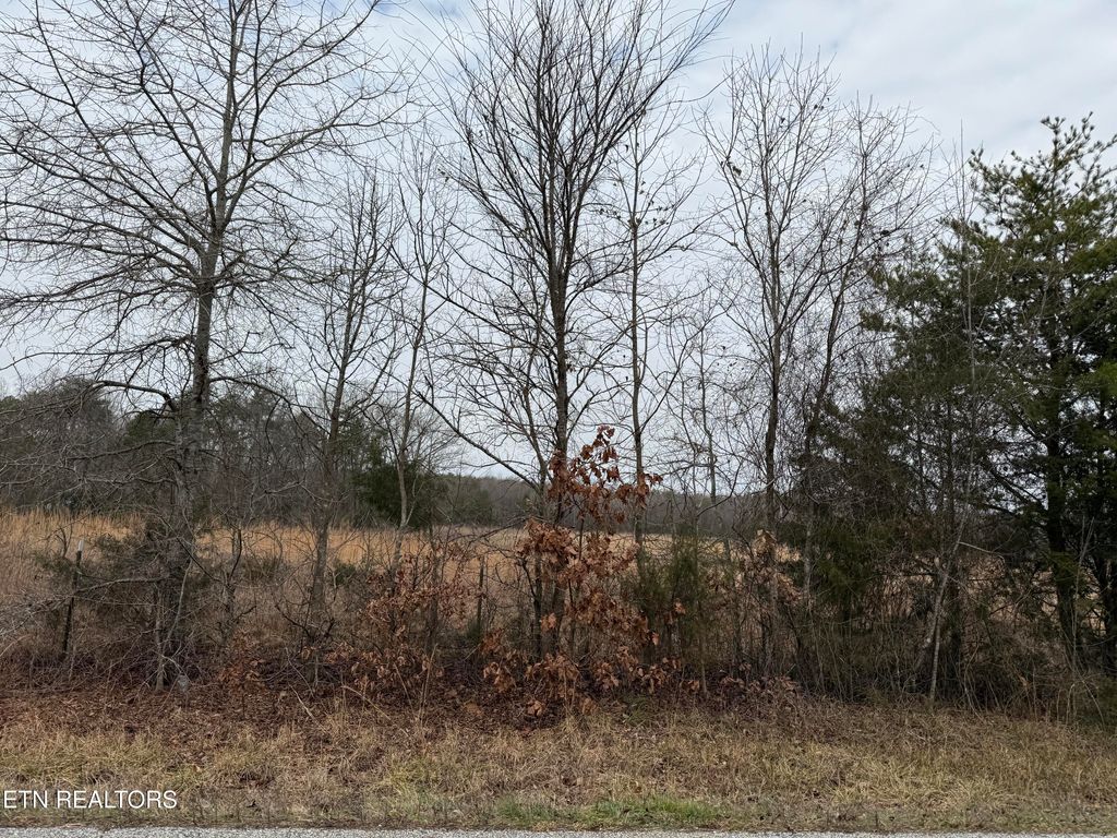 Photo of 2630 River Rd, Kingston, TN 37763 (MLS # 1289311)