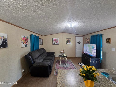 Tiny photo for 187 Cedar Lane, New Tazewell, TN 37825 (MLS # 1360094)