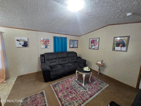 Tiny photo for 187 Cedar Lane, New Tazewell, TN 37825 (MLS # 1360094)
