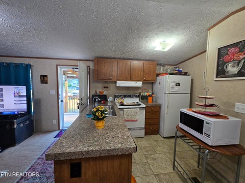 Tiny photo for 187 Cedar Lane, New Tazewell, TN 37825 (MLS # 1360094)