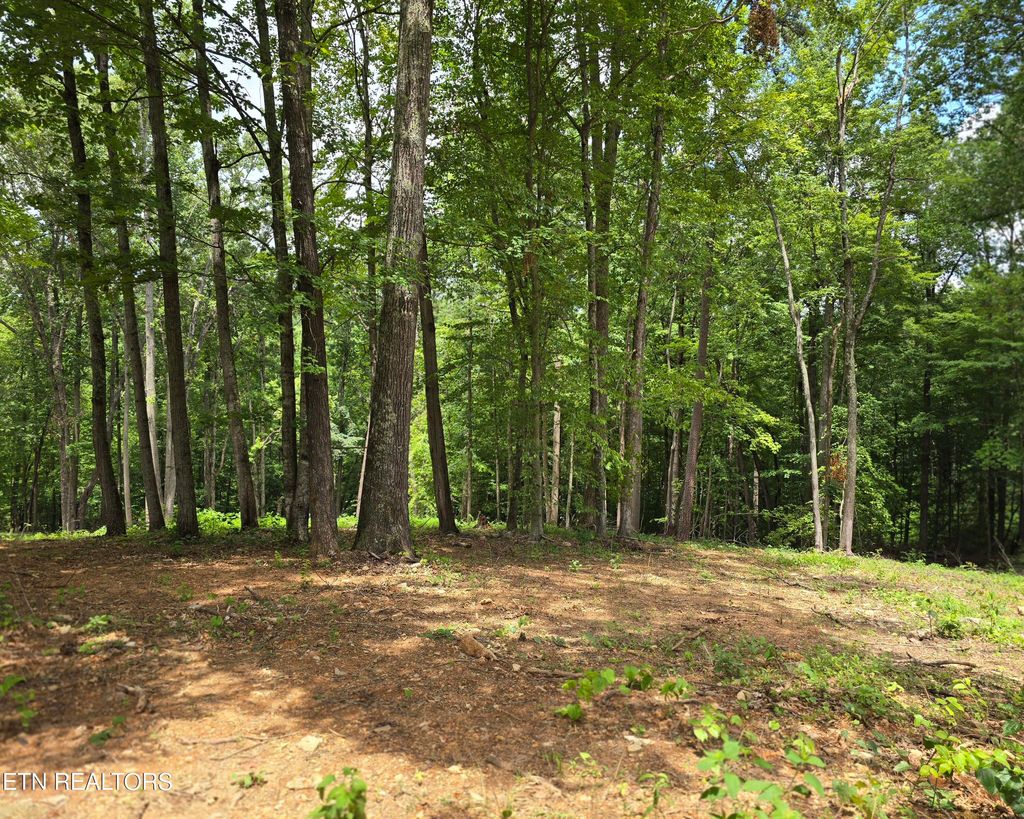 Photo of 248 Norman Rd, Powell, TN 37849 (MLS # 1283706)