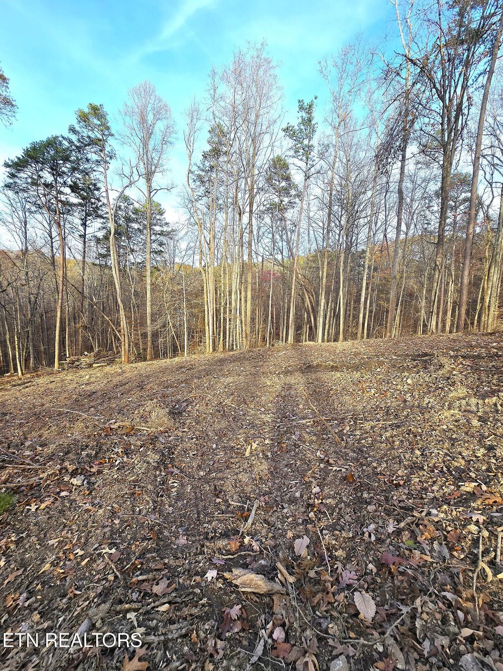 Photo of 248 Norman Rd, Powell, TN 37849 (MLS # 1283706)