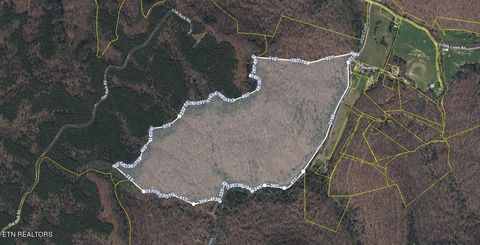 Stewart Creek Lane Pall Mall TN 38577