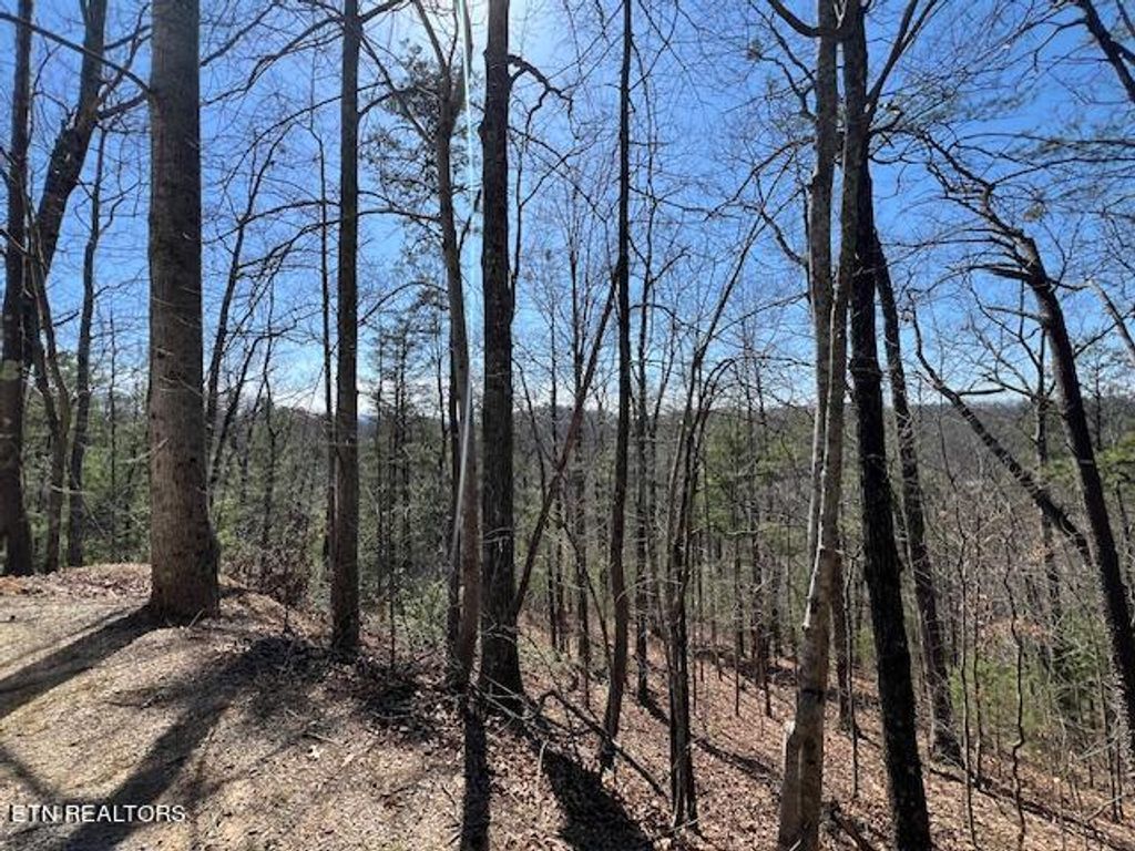 Photo of Waters End Rd, Walland, TN 37886 (MLS # 1255795)