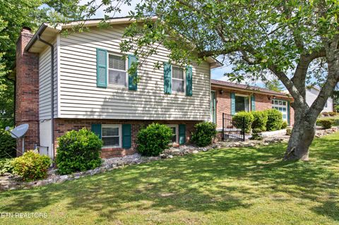 Tiny photo for 112 Shannon Rd, Jacksboro, TN 37757 (MLS # 1339775)