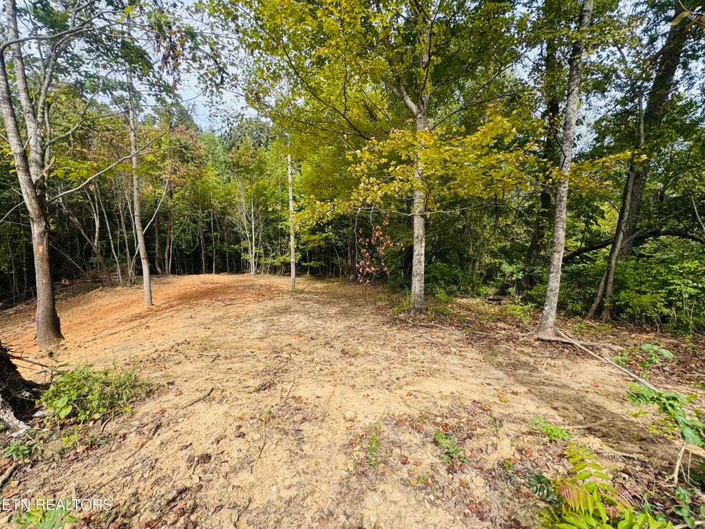 Photo of 349 Wells Rd, Powell, TN 37849 (MLS # 1358528)