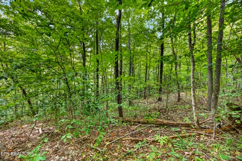 Tiny photo for 25 Timber Ridge Lane, Celina, TN 38551 (MLS # 1357267)