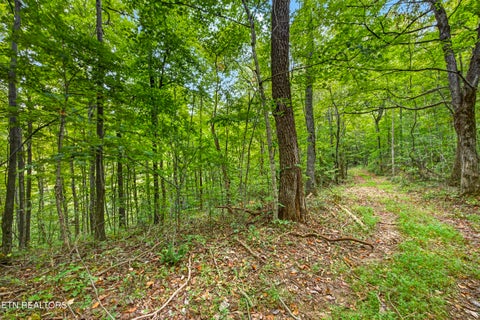 Tiny photo for 25 Timber Ridge Lane, Celina, TN 38551 (MLS # 1357267)