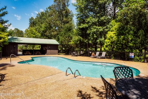 Tiny photo for 2615 Bear Crossing Way, Sevierville, TN 37862 (MLS # 1335734)